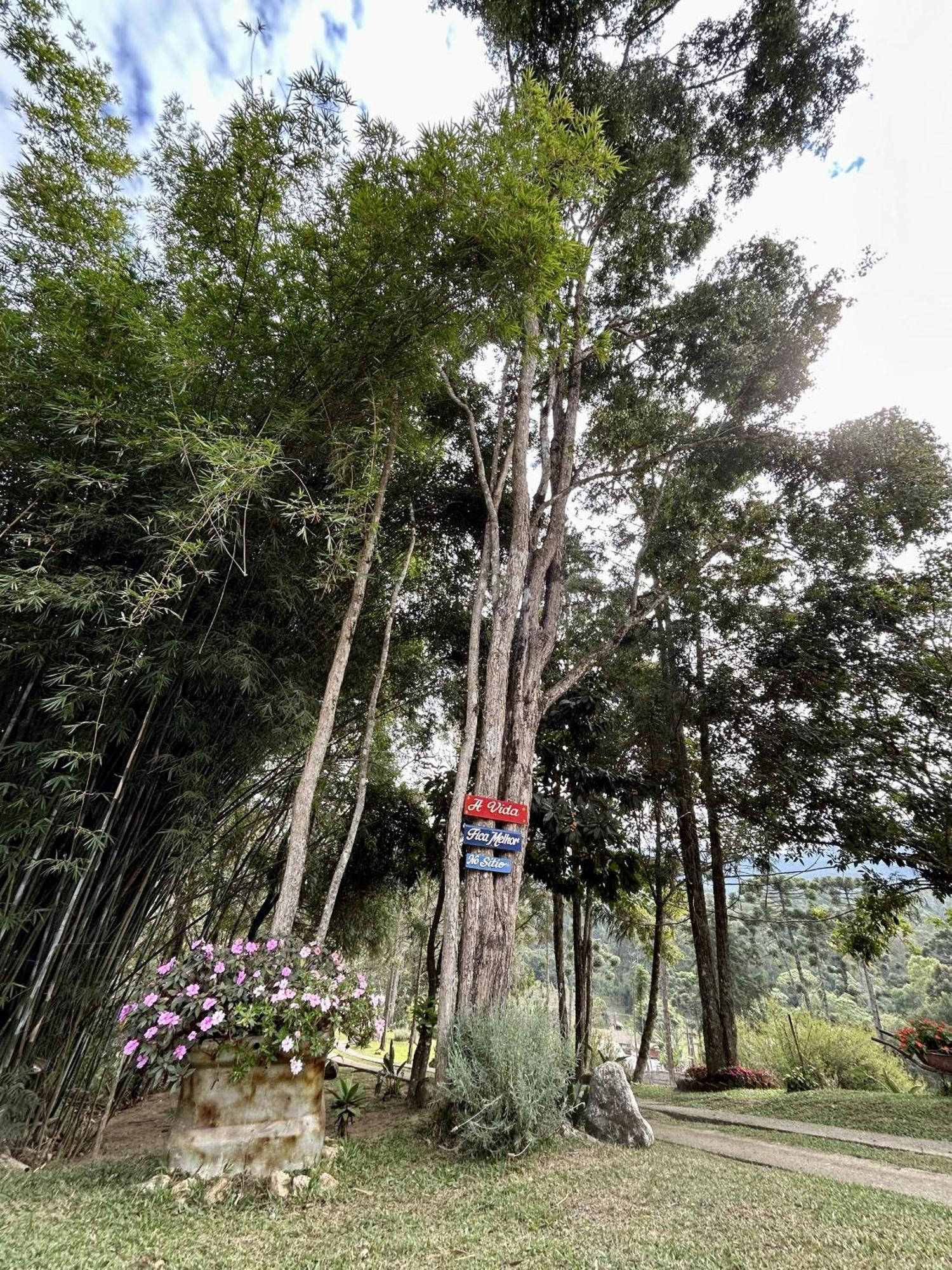 Casa De Campo Vizinha Da Lua Monte Verde (Minas Gerais) Exterior foto